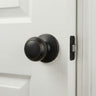 Door Knobs